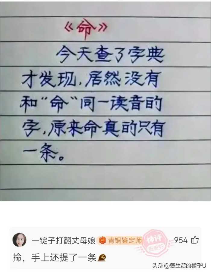 神回复：可实际上你只不过是一个不会动的高坚果！