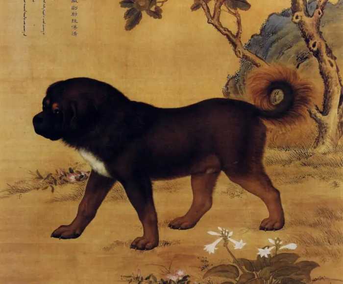 “犬生九子，必有一獒”是真的吗？和虎生三子必有一彪有关系吗？